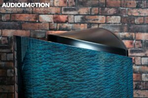 AE TAD R1TX Limited Edition