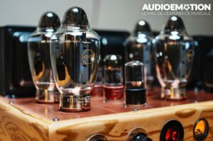 AE TEKTRON 170 PSE zoom ampoules paysage