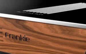 AMPLIFICATEUR FRANKIE + INTÉGRÉ | SERBLIN & SON