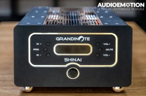 GRANDINOTE Shinai face - Audio Emotion