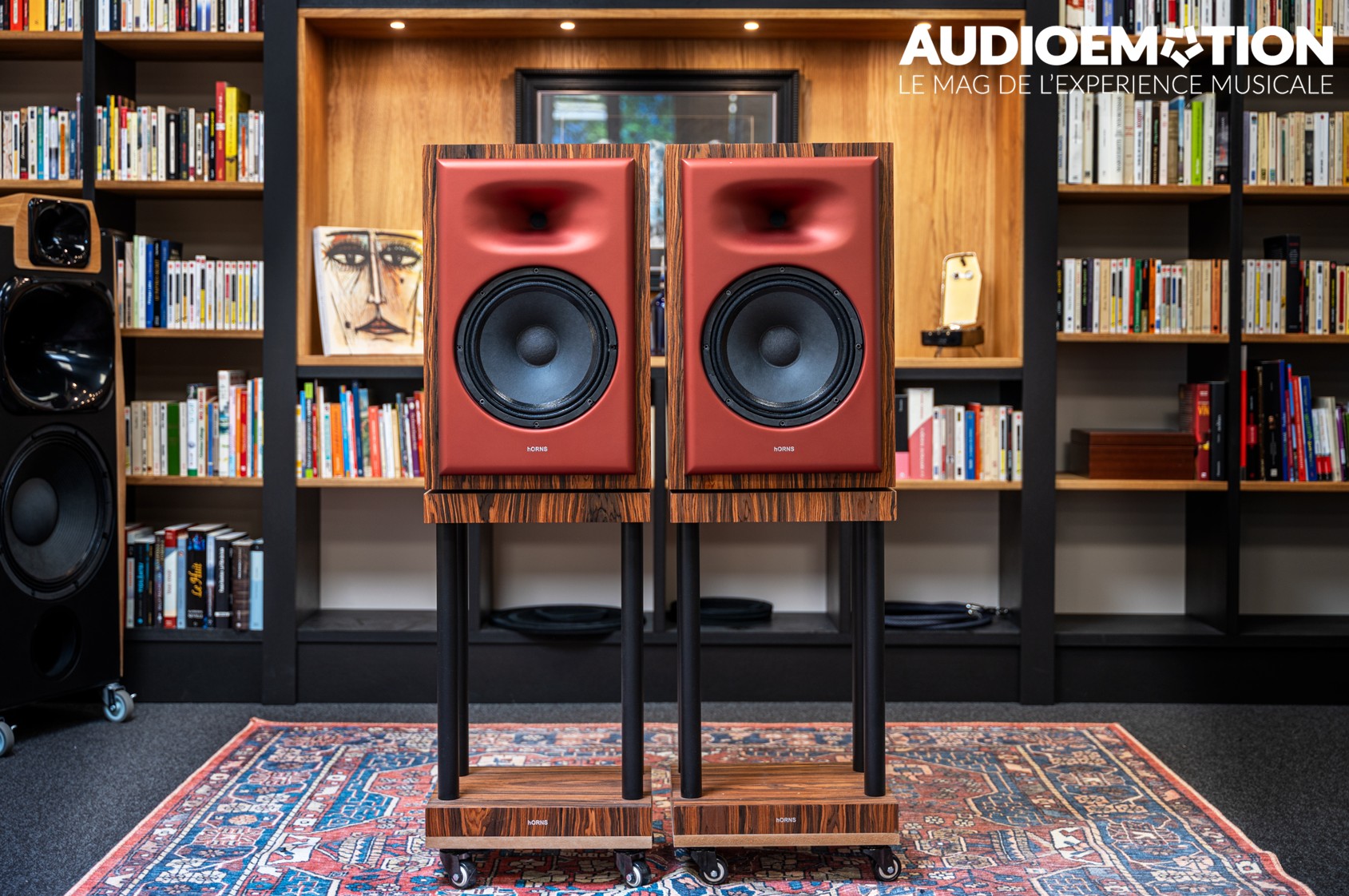 HORNS FP10 Face HORNS FP10 Face