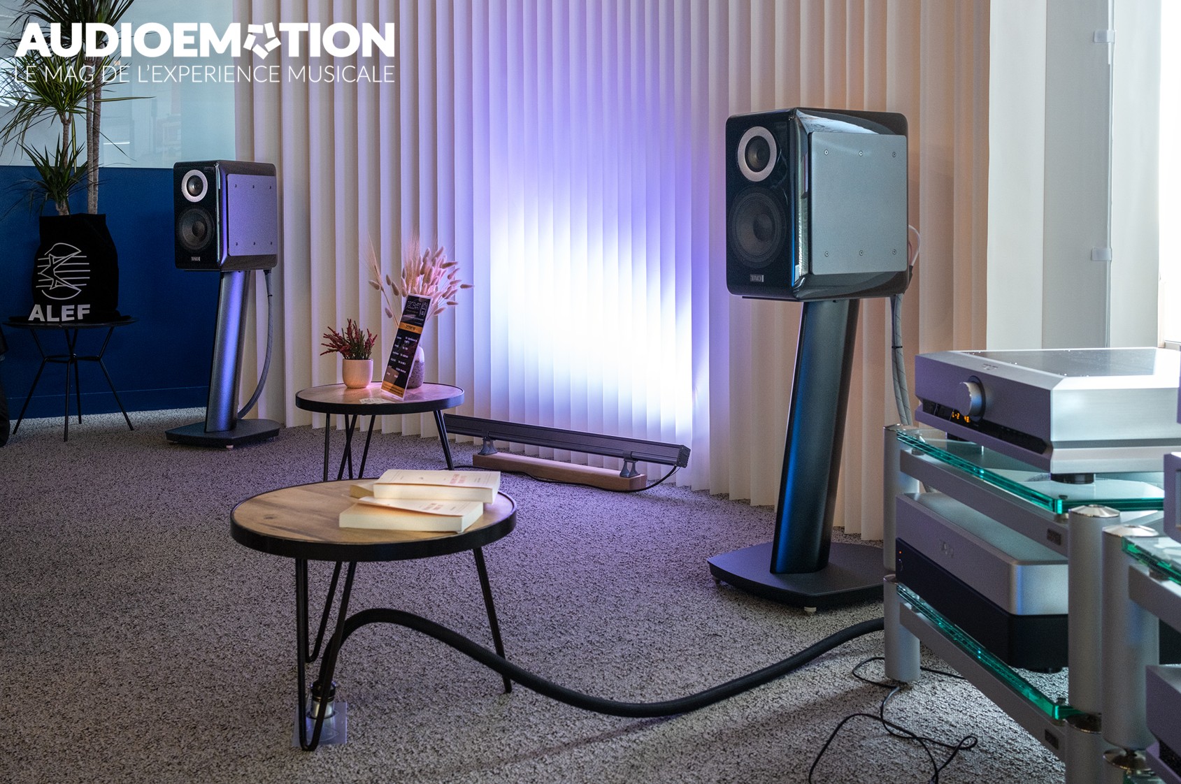 Salon Hifi TAD