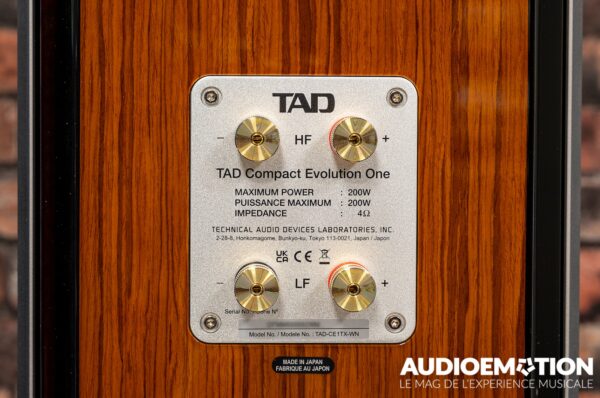 TAD CE1TX derrière