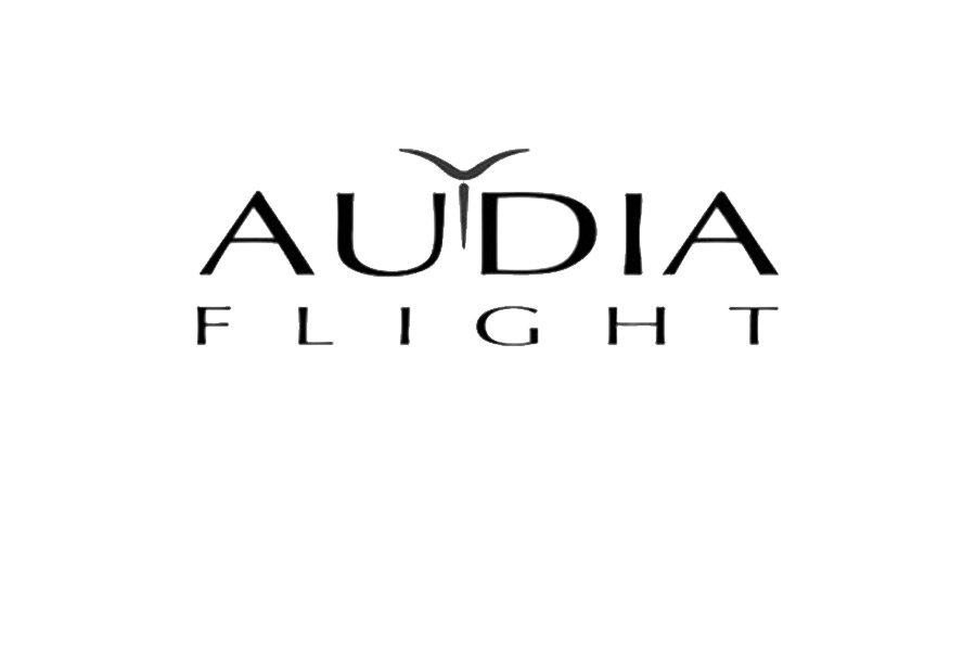Audia Flight